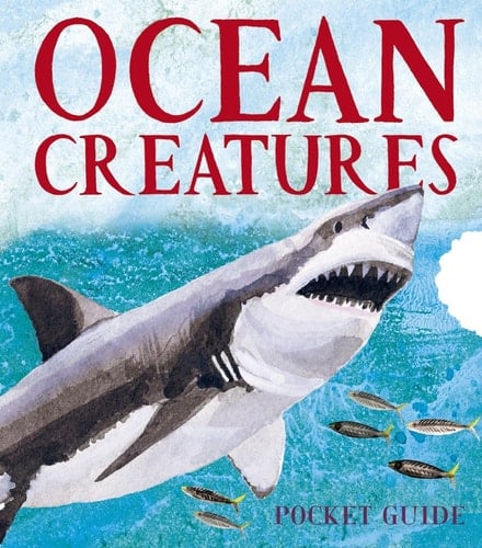 Cover of Ocean Creatures A 3D Pocket Guide