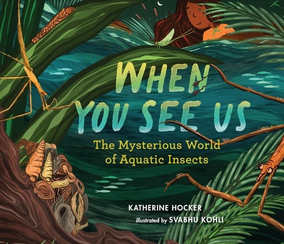 Cover of When You See Us: The Mysterious World of Aquatic Insects