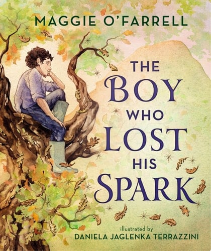 Cover of The Boy Who Lost His Spark