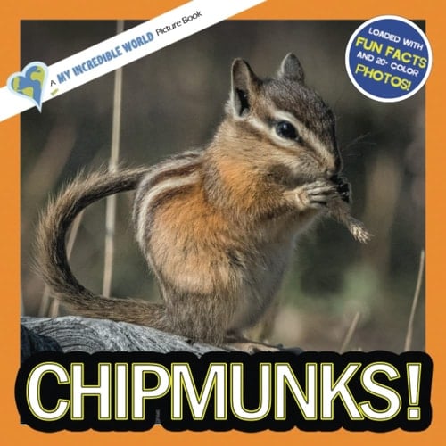 Cover of Chipmunks! A My Incredible World Picture Book for Children