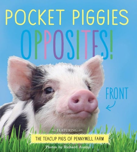 Cover of Pocket Piggies Opposites!