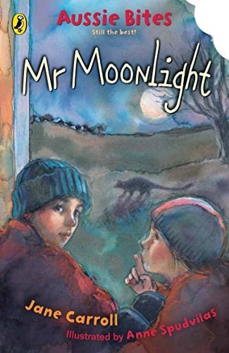 Cover of Mr Moonlight