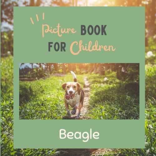Cover of Picture Book for Children: Beagle: Discovering Beagle in Pictures