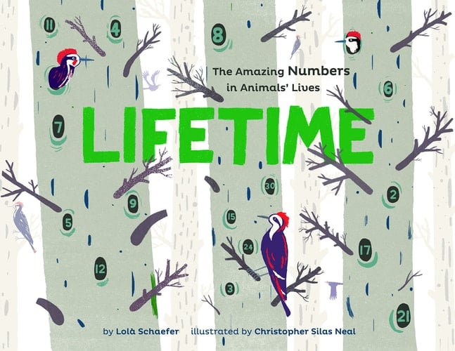 Cover of Lifetime The Amazing Numbers in Animal Lives