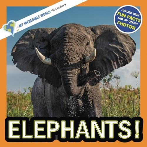 Cover of Elephants!: A My Incredible World Picture Book for Children