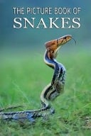 Cover of The Picture Book of Snakes Children Books about 35 + Amazing Snakes, Vper, Python, Cobra, Mambas, Rattle, Anaconda Snake Book, Snake Encyclopediaor, Best Snake Books for Kids 5-7, 8-12