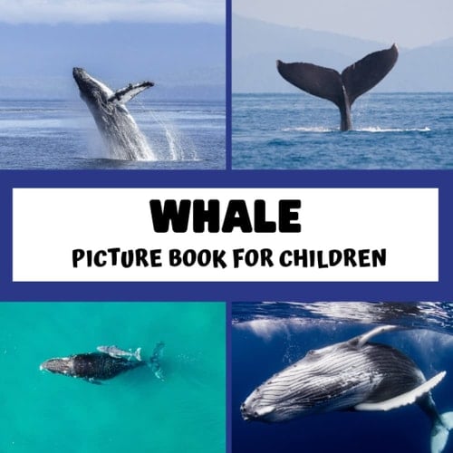 Cover of Picture book for children - Whale: Discovering Whale in pictures