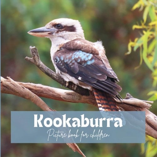 Cover of Kookaburra
