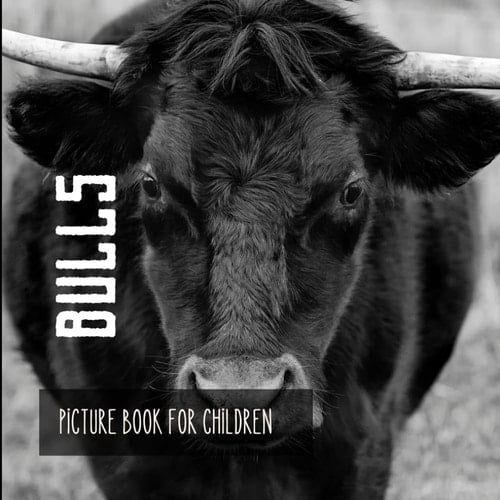 Cover of Bulls Picture Book for Children