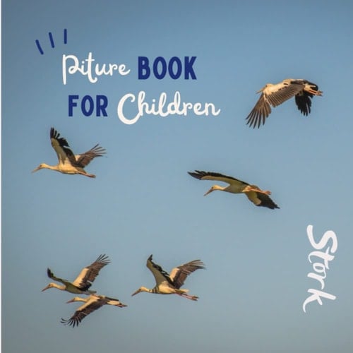 Cover of Picture book for children -Stork: Discovering Stork in pictures
