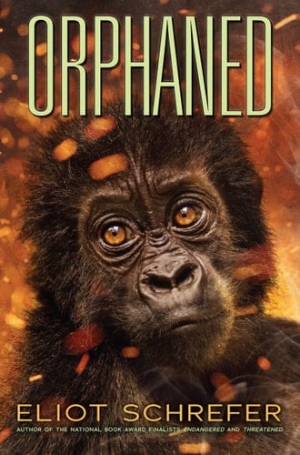 Cover of Orphaned