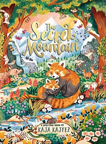 Cover of The Secret Mountain