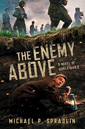 Cover of The Enemy Above: A Novel of World War II