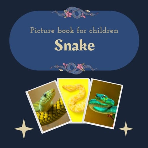 Cover of Picture book for children - Snake: Discovering Snake in pictures