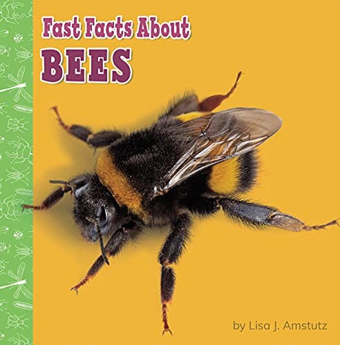 Cover of Fast Facts about Bees