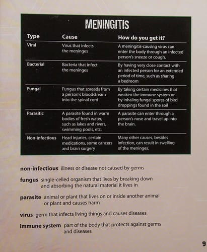 Cover of What You Need to Know about Meningitis