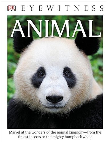 Cover of Eyewitness Animal