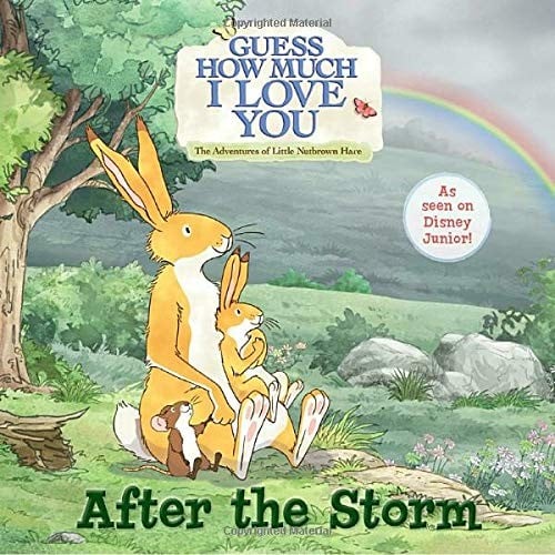 Cover of After the Storm