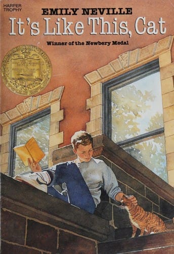 Cover of It's Like This, Cat