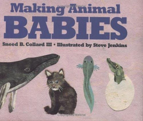 Cover of Making Animal Babies