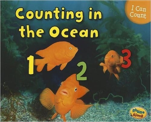 Cover of Counting in the Ocean