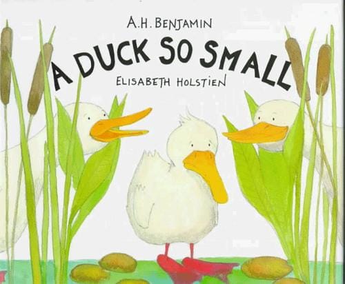 Cover of A Duck So Small