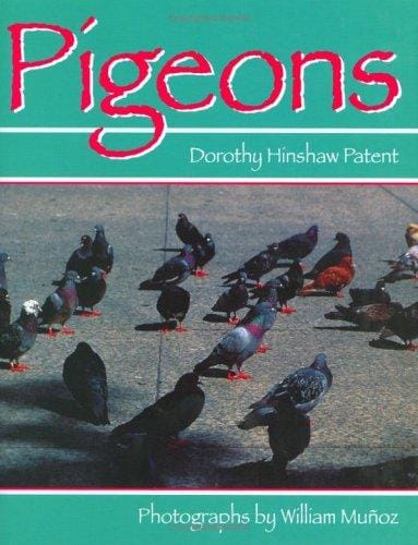Cover of Pigeons