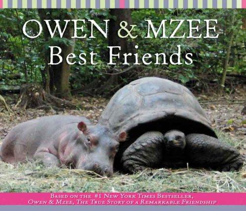 Cover of Owen and Mzee