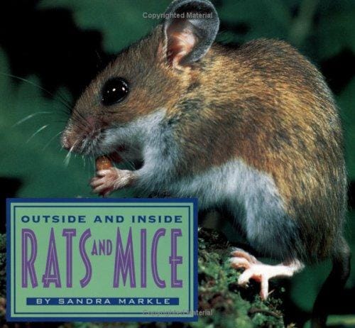 Cover of Outside and Inside Rats and Mice