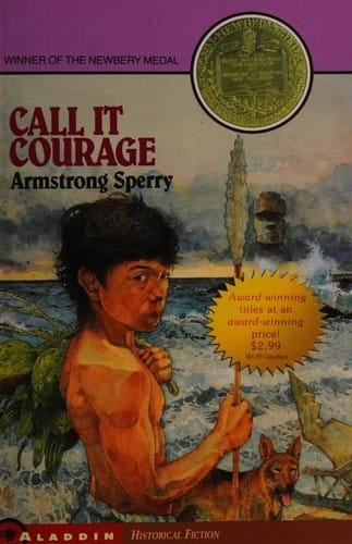 Cover of Call It Courage