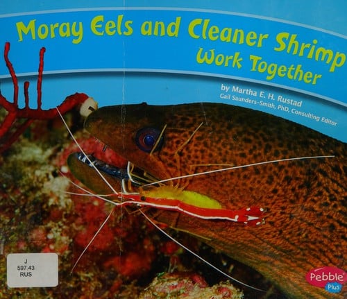 Cover of Moray Eels and Cleaner Shrimp Work Together