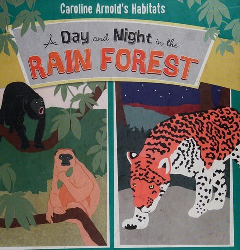 Cover of A Day and Night in the Rain Forest