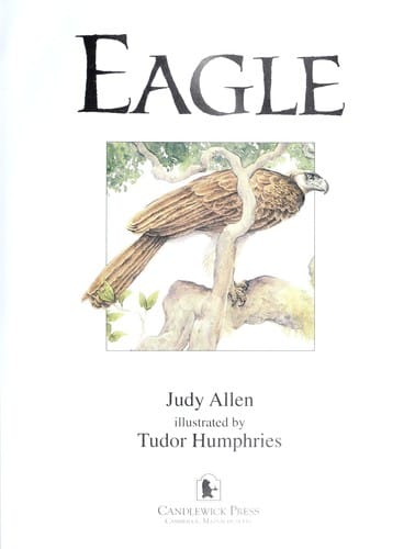 Cover of Eagle