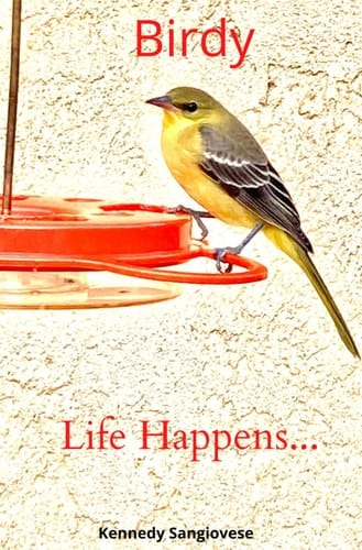 Cover of Birdy: Life happens