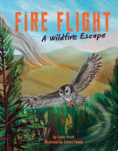 Cover of Fire Flight A Wildfire Escape