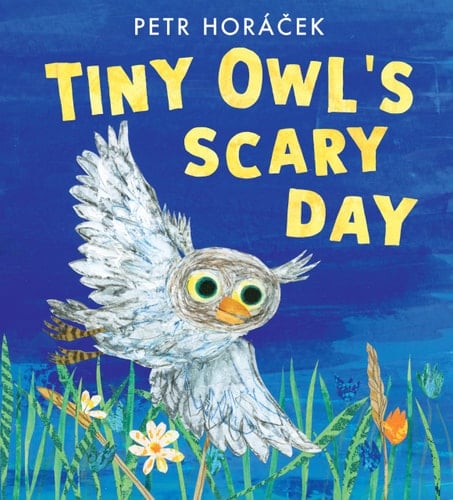 Cover of Tiny Owl's Scary Day