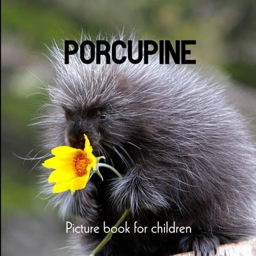Cover of Porcupine Picture Book for Children