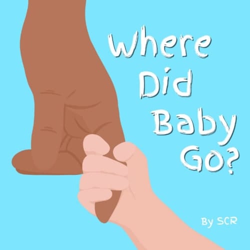 Cover of Where Did Baby Go?