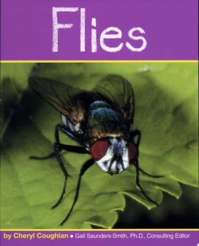 Cover of Flies